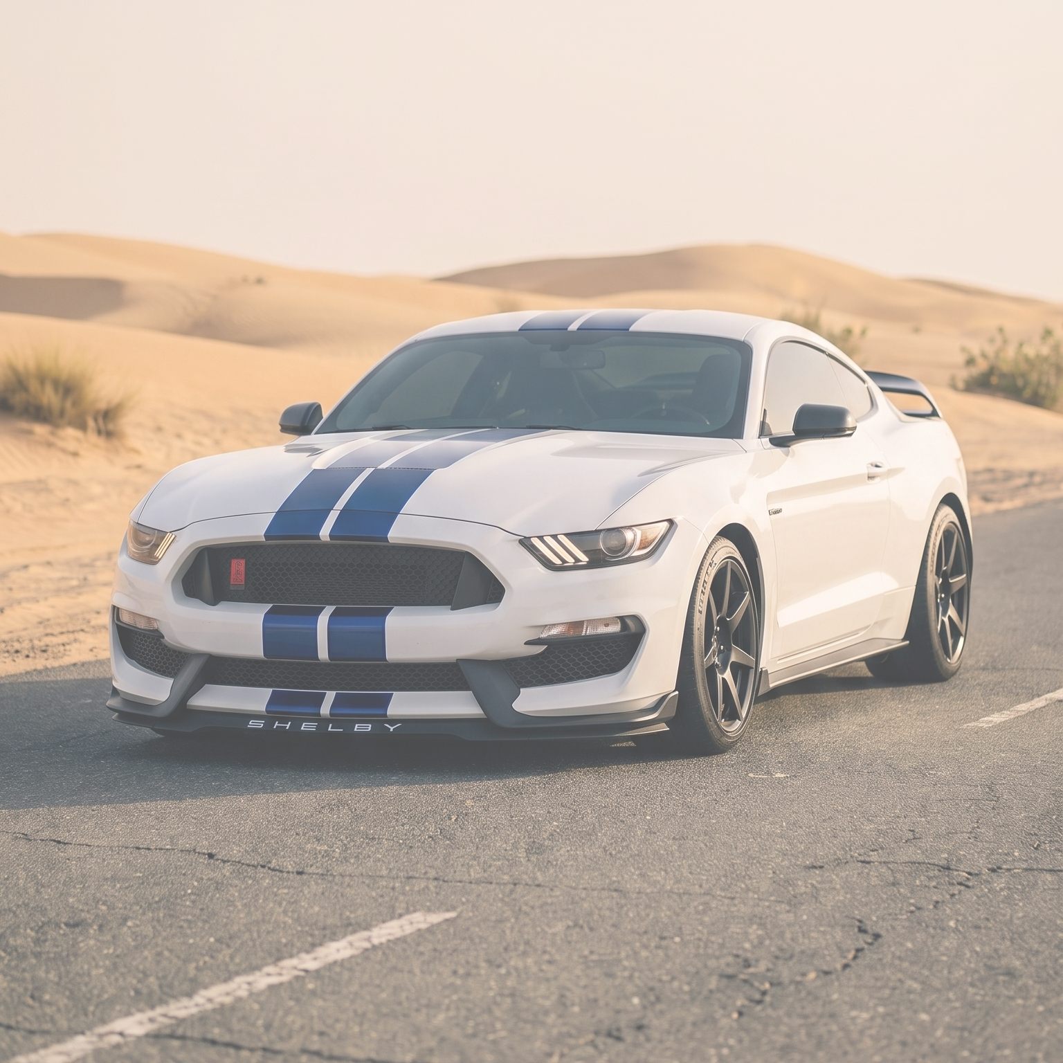 Ford Mustang Shelby GT350
