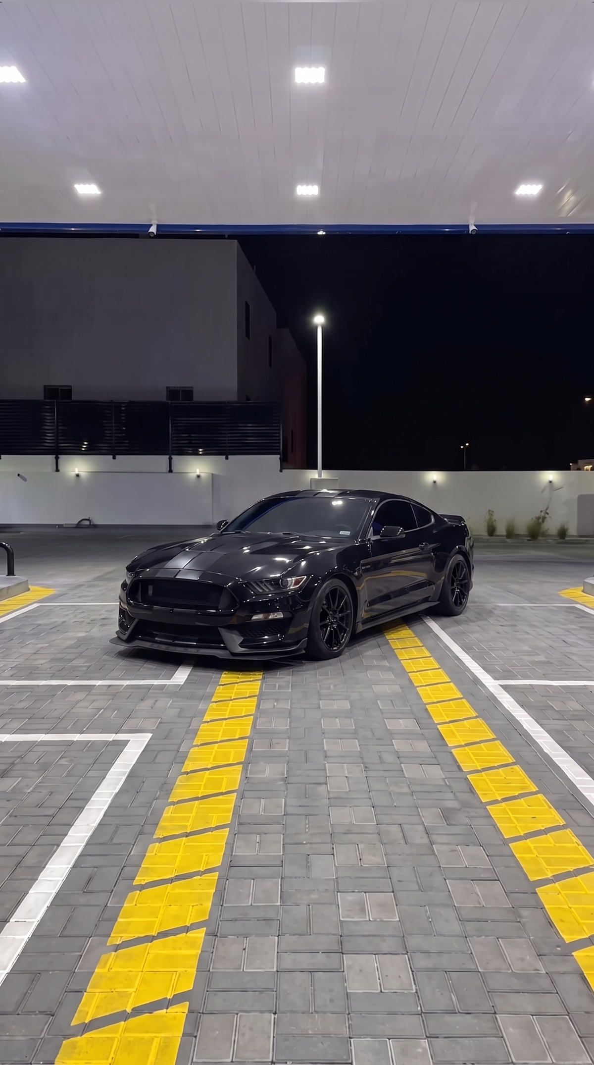 Mustang