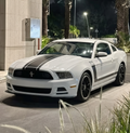 Ford Mustang Boss 302 Style Front Bumper (2013–2014)