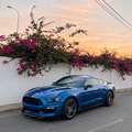 Ford Mustang Shelby GT350 Style Front Bumper | 2015–2017
