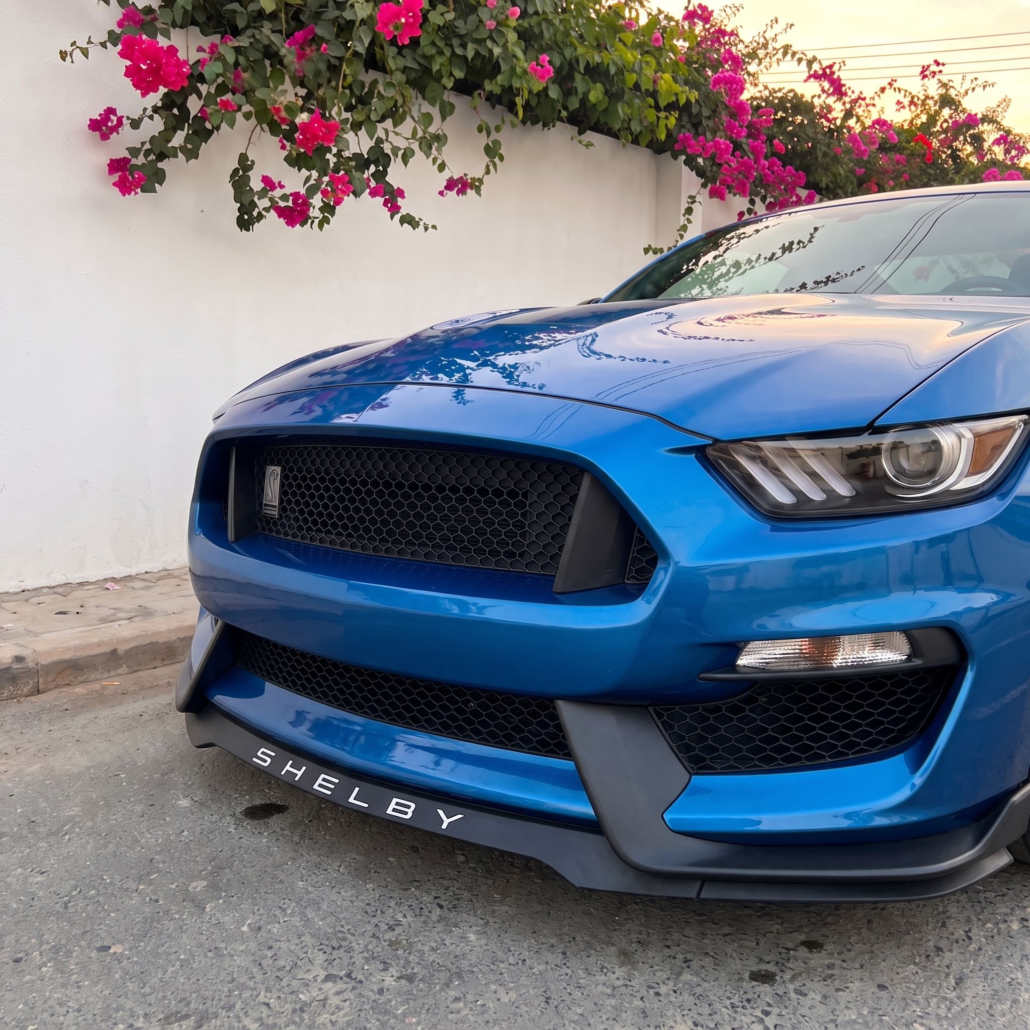 Ford Mustang Shelby GT350 Style Front Bumper | 2015–2017
